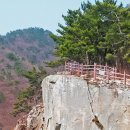 힐링섬 코스 이미지