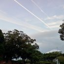 김정문화로 이미지