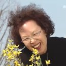 문희 이미지