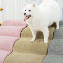 미오펫