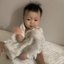 옥척지 네이버블로그