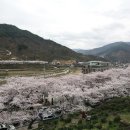 하동 이미지
