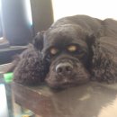 도장중학교 이미지