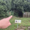 분성체육공원? | 경남 김해 낙남정맥 끝자락 분성산 최단코스 후기