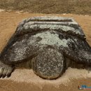 신문왕릉 화장실 이미지