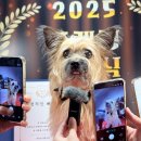 그루밍 루니 이미지