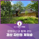 자인초등학교 | 문화유산과 함께 걷는 경산 자인의 계정숲에서 여름의 끝자락을 함께 해요
