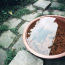 용산-147 이미지