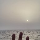 궁평항 어항구역 내 주차장 일부 이미지