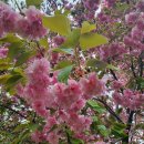 사구농장 이미지