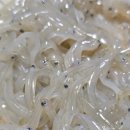당진 장고항 맛집 미소수산식당 재방문 후기