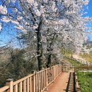 쌍암리주차장 이미지