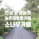 소나무카페(소나무관광농원) 이미지