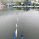 사계절 민물 이미지