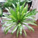 그림책 원예테라피 이미지