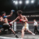 용인대 SM복싱클럽 이미지