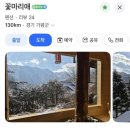호박꽃 펜션 | 가평 애견동반 펜션 꽃마리애 독채펜션 버베나 후기 핀란드사우나