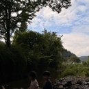 가야상가 맞은편 횡단보도 | 예약하기 힘들다는 용인 묵리숲, 계곡 물놀이부터 모래놀이 바베큐까지 솔직후기