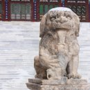 육지장사 이미지