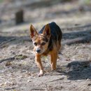 하늘케어 이미지