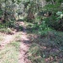 김해시청역 김해방향(김해시청역 2번 출구) | 김해 수로봉~분성산