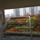 대평중학교(정자동) 이미지