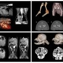 24시 블루밍 동물병원 이미지