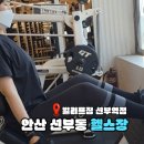 튼튼해짐 | 안산 선부동 헬스장 넓고 쾌적한 빌리프짐 근력운동 pt 후기