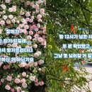 명물 - 경주시 | 명물