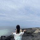 픽플로 | 제주도 픽플 구매 후기