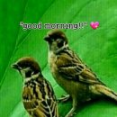 바람소리 이미지