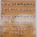 여울공원 이미지