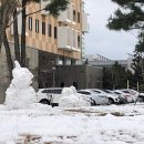 봄봄제주아라점 | 제주대학교 동기 계절수업 교류수학 후기 /학점교류수학/교환학생