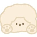 강릉모예통닭