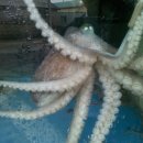 하의중학교 이미지