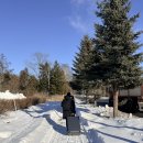 사이쿠보 | 오비히로 료칸추천 도카치가와 온천 럭셔리 료칸 세이자쿠보