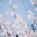 탐앤헉 네이버블로그