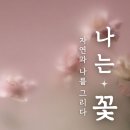 부산진구-11 이미지
