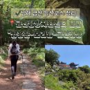 남해종합에너지 | [남해] 보리암 금산 등산기록 | 초보가 성공한 급경사코스🥾(*여름등산 준비물)