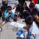 칠천초등학교 이미지