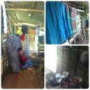 염소우리 이미지