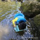 별천계곡 | 1학년 여름방학 계곡 물놀이