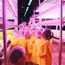 서울농자재 이미지