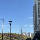 도모카츠 삼송직영점