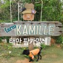 냥이야놀자 | [애견동반] 태안 애견동반여행 &lt;팜카밀레&gt; 솔직후기, 추천X