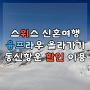 동신할인마트 | 스위스 신혼여행 융프라우 VIP패스 할인은 여기서! 동신항운 사용후기