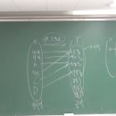 23년 8.1(화) 2시30분-고등수학(하)B 개념쎈-함수의 뜻 이미지