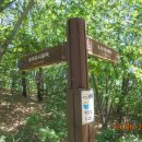 여주종합터미널 이미지