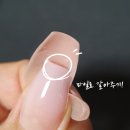 뮤즈 네일
