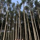 낮은제주 이미지